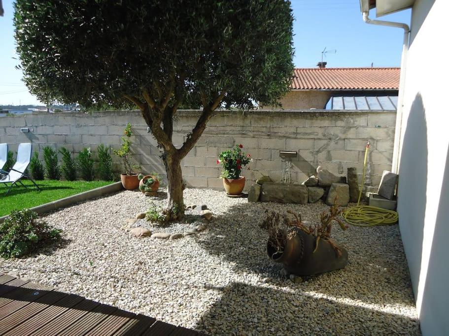 House With Pool Casa Da Faia - Aveiro Villa Avanca Kültér fotó